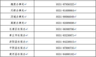 济南社保网上申报系统