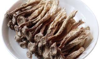 鹿茸菌一般多少钱一斤