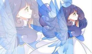 十二星座的守护花精灵