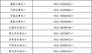 济南社保网上申报系统