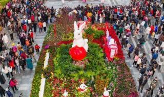 广州花卉市场批发市场