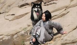 步步惊心吻戏在第几集