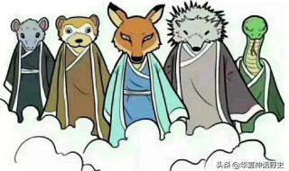 东北五仙是哪五个动物