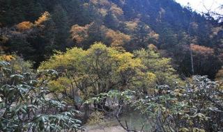 几月份去九寨沟最合适