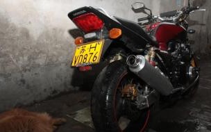 我学会了什么作文400字四年级 我学会了骑自行车400